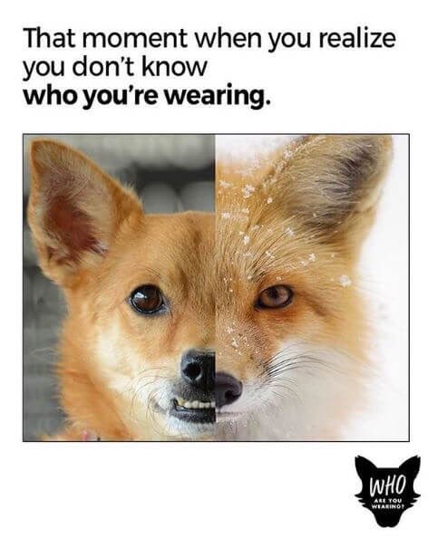 deleted_acc1286's tweet image. “Fur taken from animals in China is often mislabeled as fur from another species, so you can’t be sure who you’re wearing.”#WearYourOwnSkin #peta2 #FurFree.
