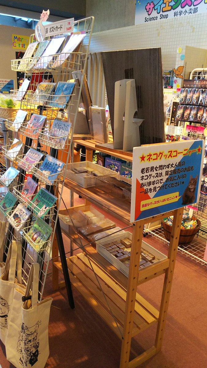 長崎市科学館 冬は 文具を科学する 科学館2f サイエンスショップでは ネコ展開催に合わせて かわいいネコグッズも販売中ですよ 長崎市科学館 にゃがさきネコ展 T Co Ujjtb8jhjx Twitter