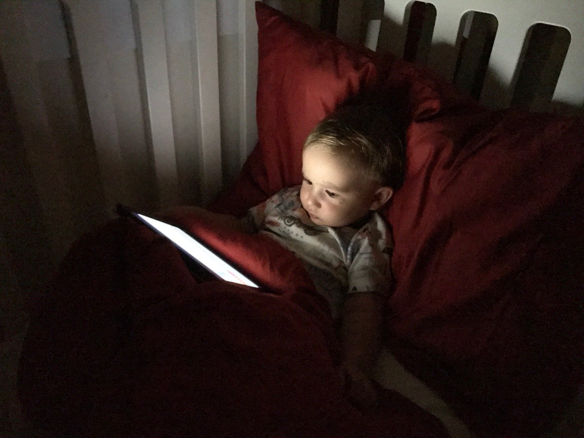 William Levin tweet media