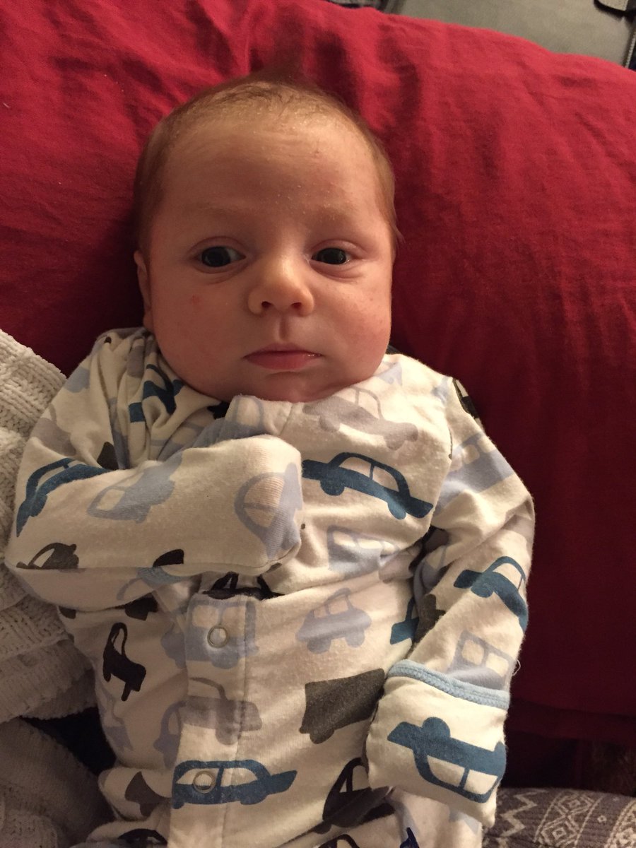 GloriaNoteMusic's tweet photo. Someone is slowing down my Advent music prep... https://t.co/LuIdDAk1Bo