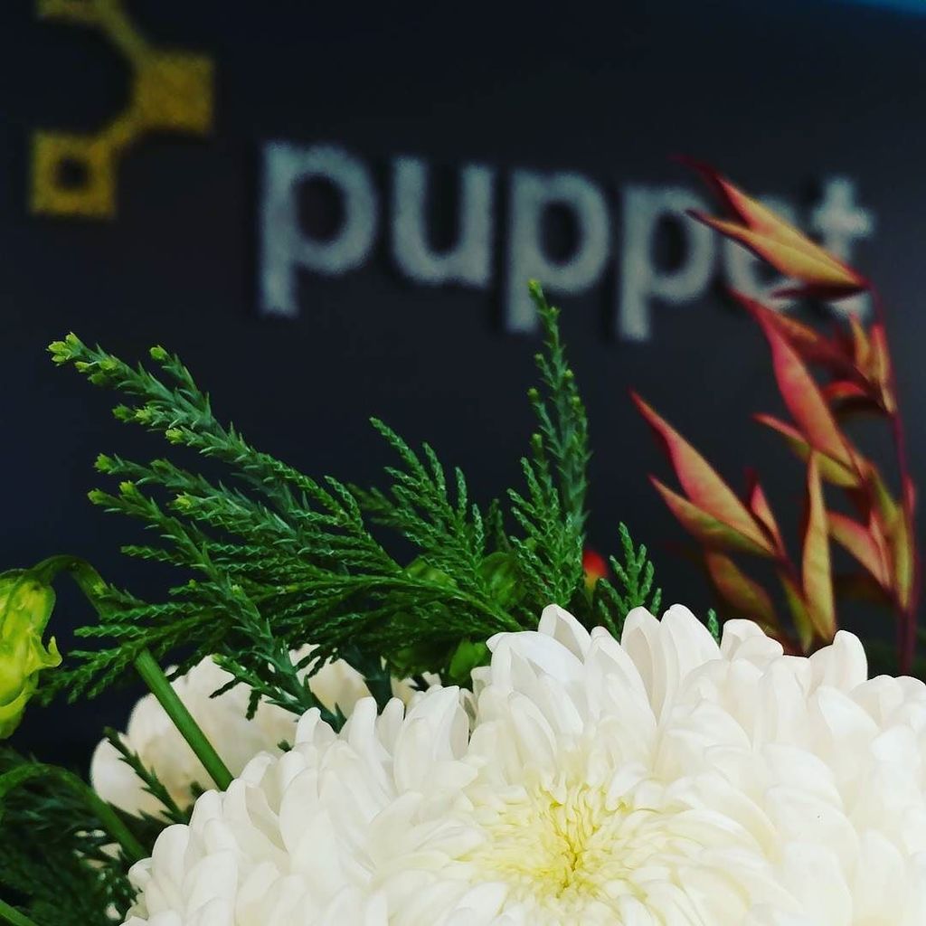 MichelleJLevine's tweet image. Had lots of fun hacking with #wecode2017 #wecodeforgood at Puppet over the last 24 hours. ift.tt/2jGPMEJ