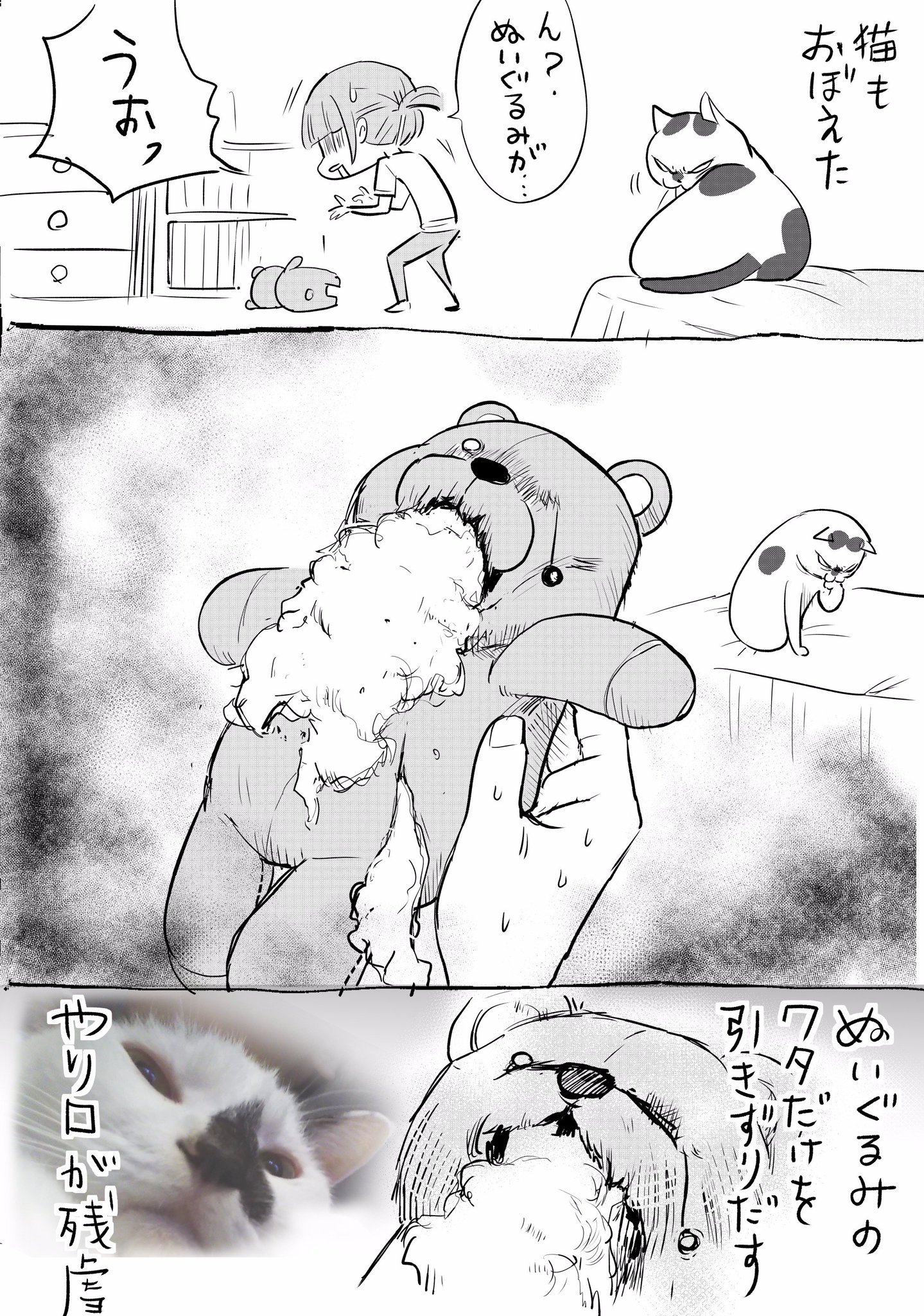 松本ひで吉 犬と猫どっちも飼ってると あそび方に個性があふれでて毎日たのしい 松本ひで吉 犬と猫どっちも飼ってると あそび方に個性があふれでて毎日たのしい