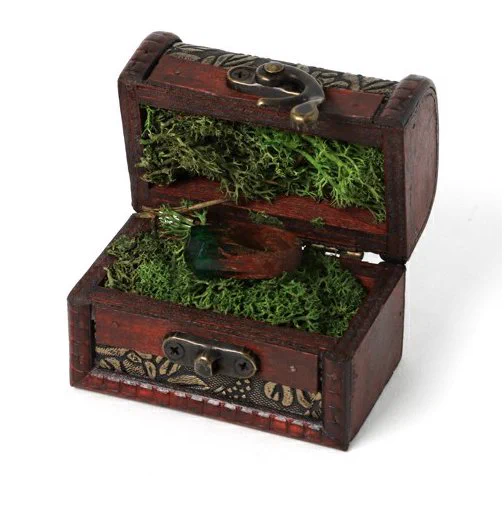 まるでファンタジーの世界！！　カナダのSecret Woodがすごく美しい・・・