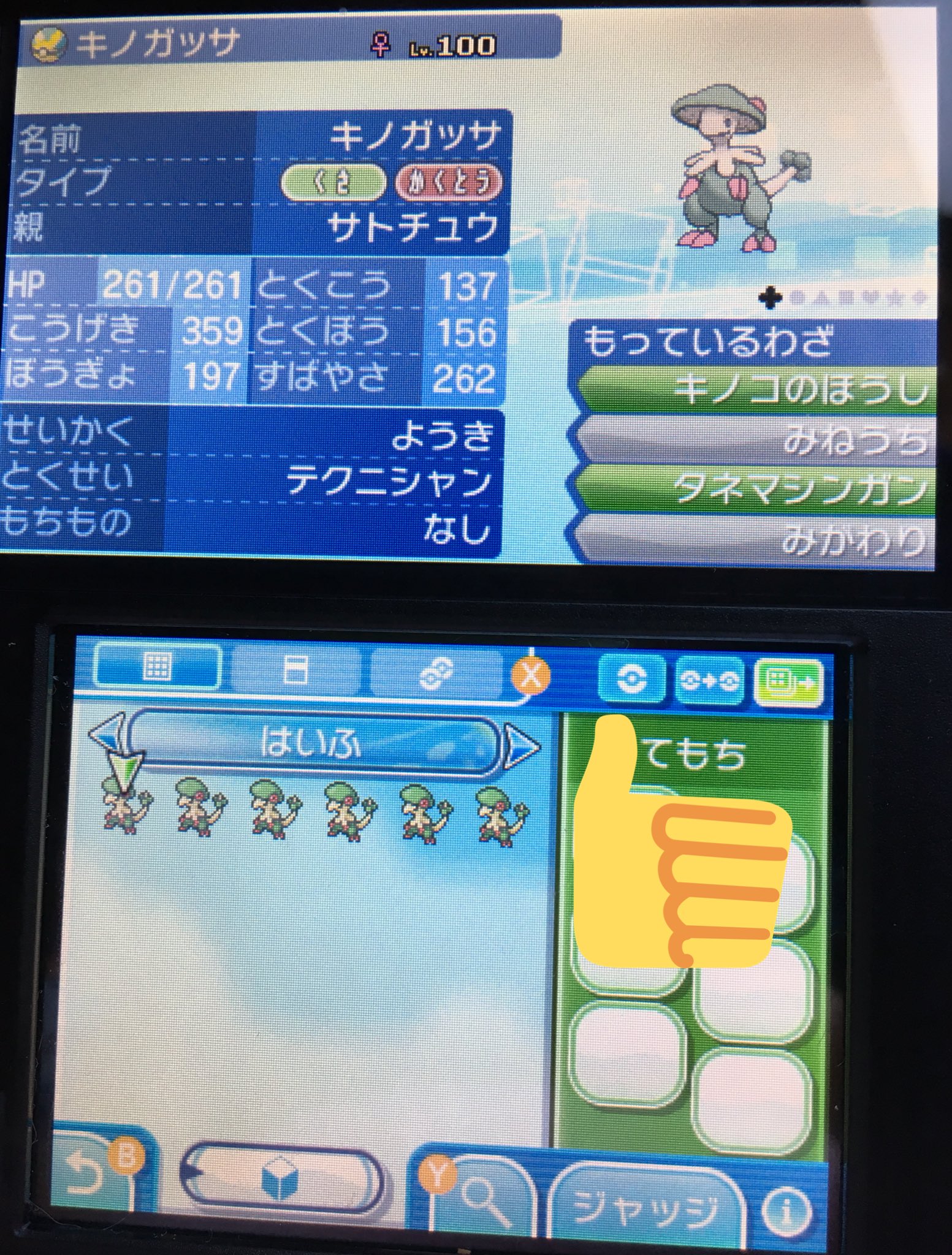 さとちゅー Satotyupikapika Twitter
