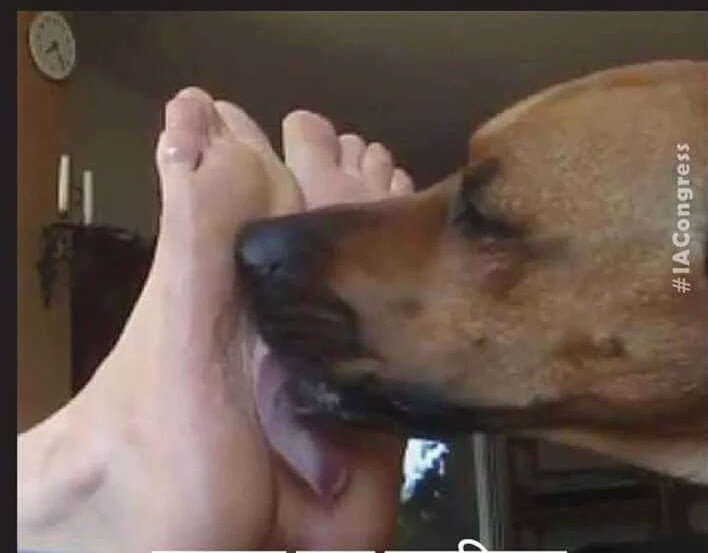 Simipunjabi2's tweet image. कांग्रेस ने अपने सबसे बड़े चमचे  #randeepsingh सुरजेवाला को तलवे चाटने के लिए नियुक्त किया हे ! 
जो डोगविजय सिंह के साथ मिलकर #चाटुकारिता  का नया रिकार्ड बनाएंगे !