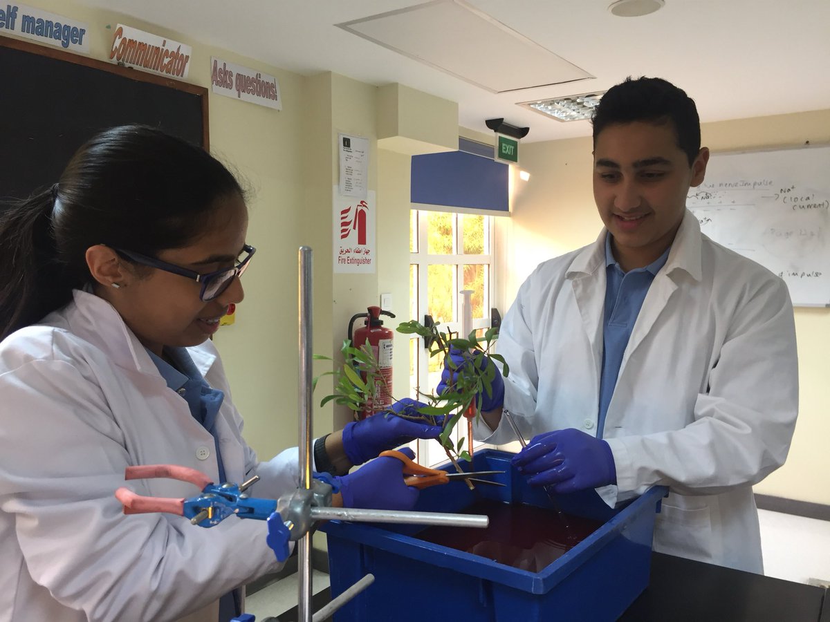 NcbisSecondary's tweet photo. Year 10 GCSE biologists creating a potometer this morning #scientists #gcsebio https://t.co/ZwbQtSMY4e