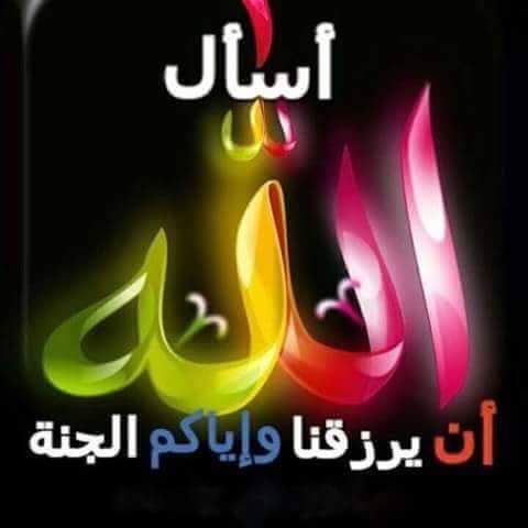 aldbysh tweet picture
