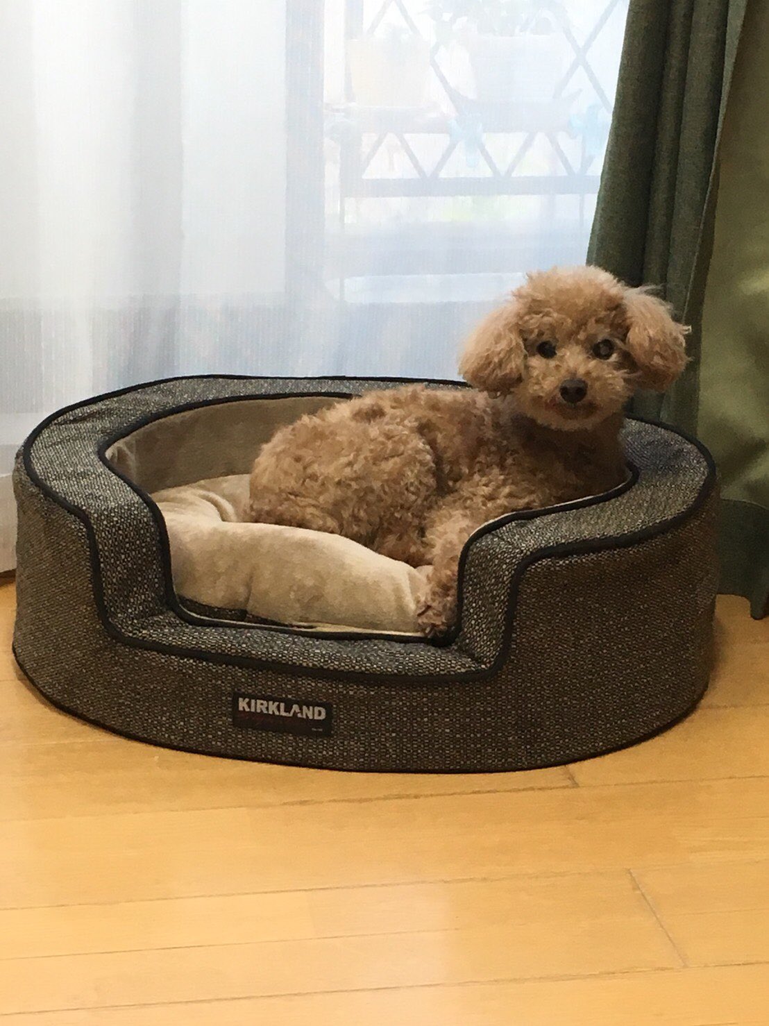 羊 瞑想する 定義 Kirkland 犬 用 ベッド Jimmoss Org