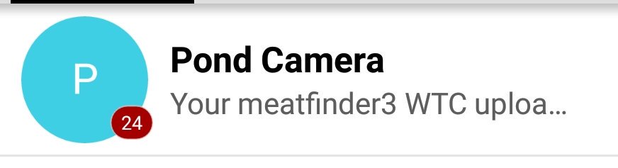 Please don't be racoons... 🙏