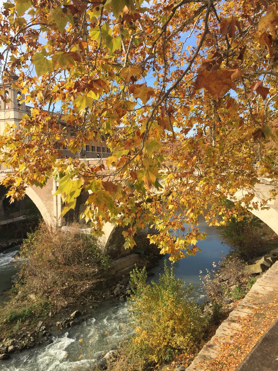 Buongiorno 🌞🍂🍁#autumninRome @PeppeGaribaldi @gigasss1 @fiorillomanuel1 @caputmundiHeidi @massimoantonio1 #romeisus