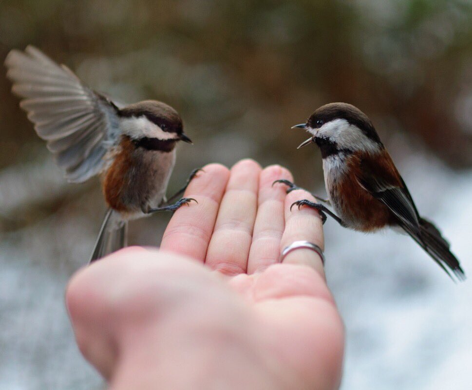 feminineboudoir's tweet image. A true relationship is two imperfect people refusing to give up on each other
#celebrateEachother this #SparklingDecember