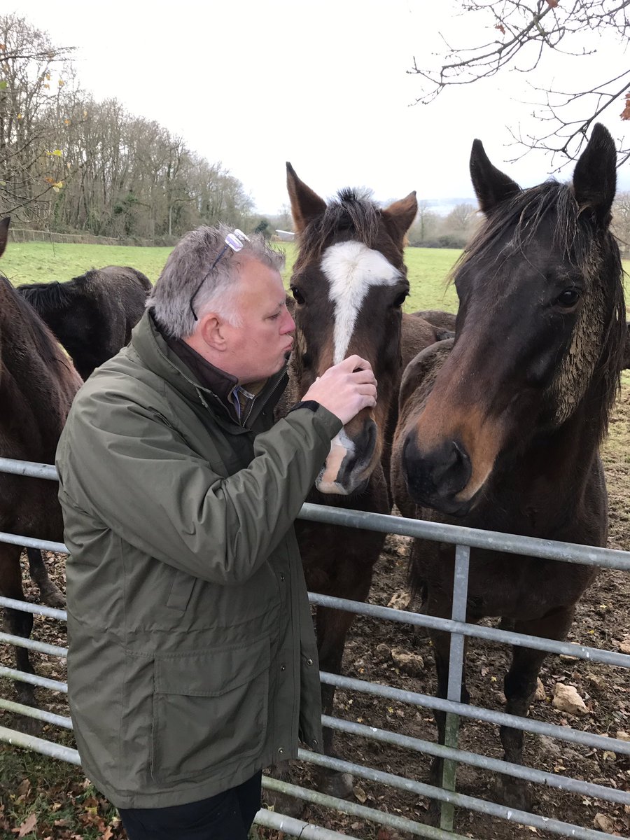 Polos, carrots and a kiss for a <a href="/CheltenhamRaces/">CheltenhamRacecourse</a> hero The Giant Bolster. If I had to choose between him and the wife ...,. Well I'll let you draw your own conclusions!!
