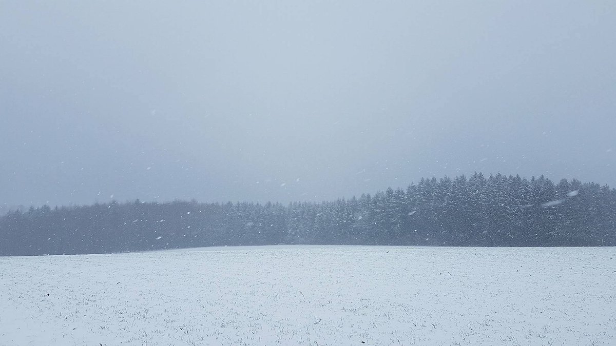 Kachelmannwettr's tweet photo. Dieses Foto hat Frederic Gockel bei Paderborn-Dahl aufgenommen bei einer Schneehöhe von 4-5 cm. Die (automatisch gemessenen) Schneehöhen von 13 Uhr: https://t.co/OvrbDVHAm6 /TS https://t.co/WovfvtIFKD