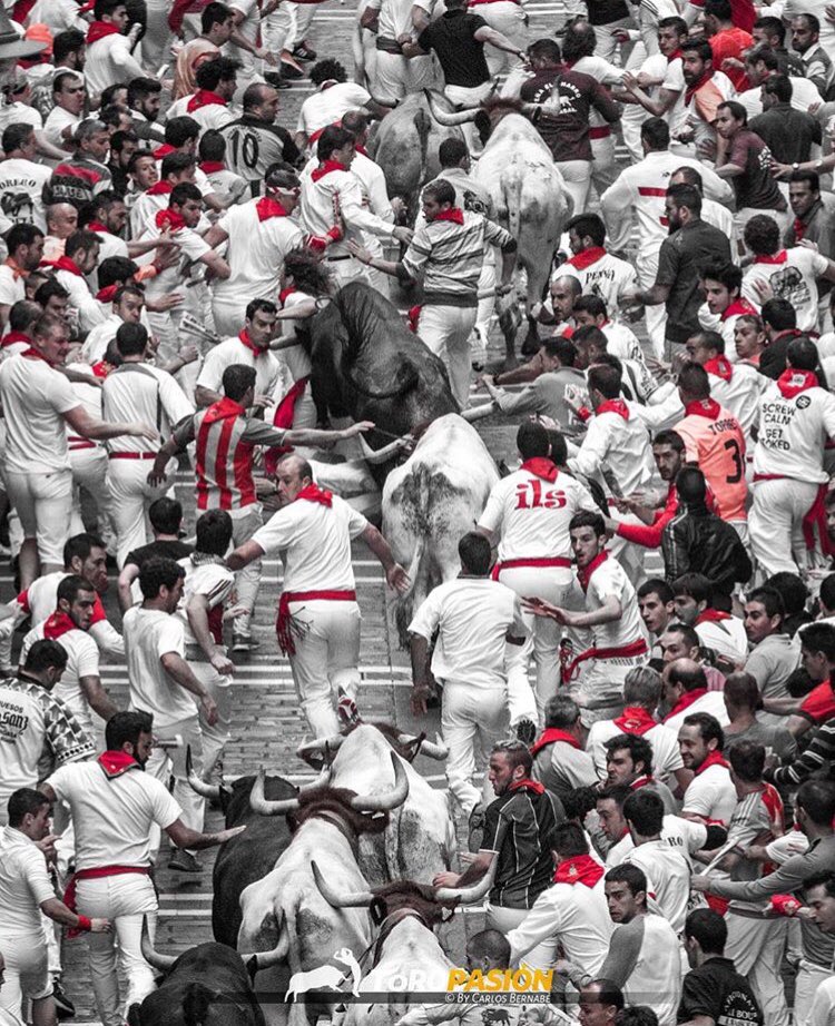 Feliz día de San Francisco Javier, patrón de los navarros. Para toda esa gente especial llena de pasión por su tierra y por el toro. #navarra #sf #alwayssf #tierradetoros 📸 Carlos Bernabé