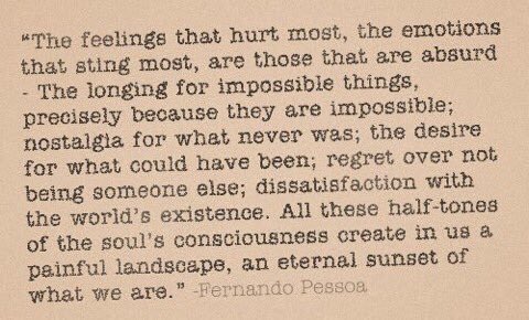 Edi Hamitson tweet media