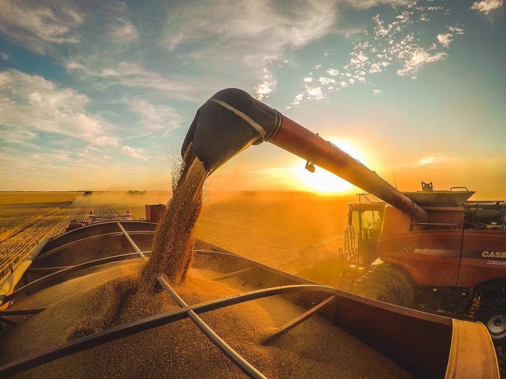 fareanddinkum's tweet photo. In the thick of it! #harvesthustle #barlowag #harvest #harvest17 #agricultureaustralia #outbackaustralia 📸Tag @fareanddinkum or #fareanddinkum to feature! https://t.co/cEABae0J8a https://t.co/WWqflwgkFz