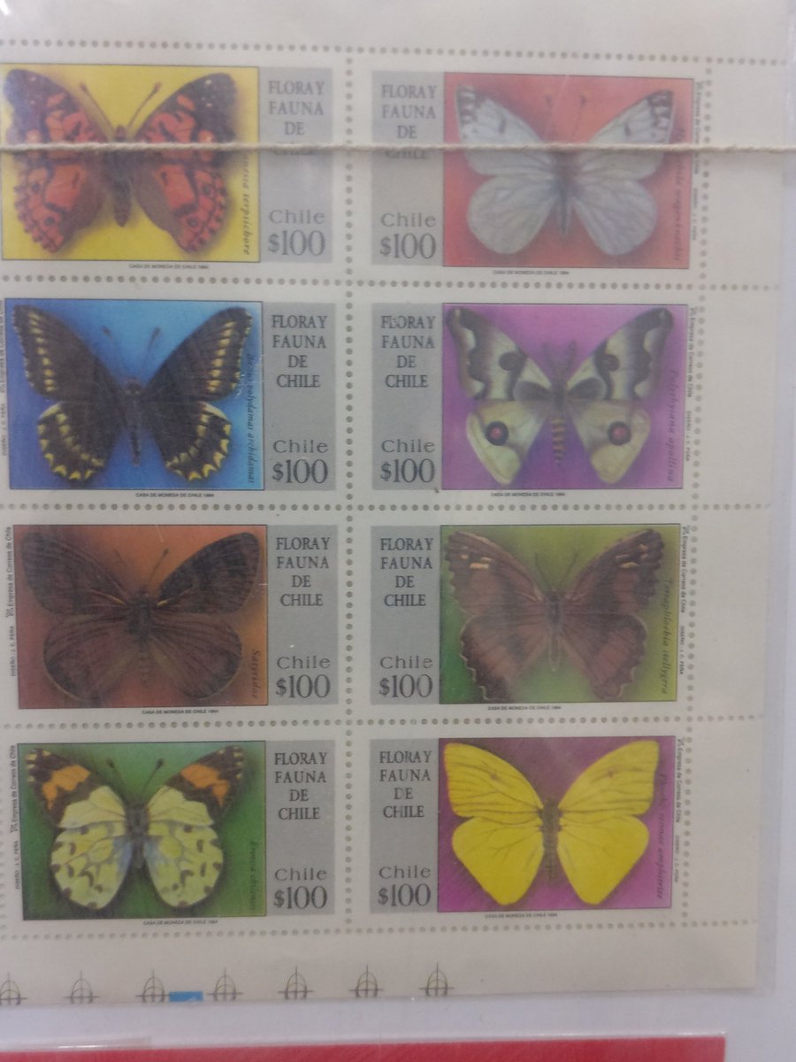 chemingineer's tweet photo. #INPEX2017 
#Butterflies on #Stamps https://t.co/QVqrKBTxeT