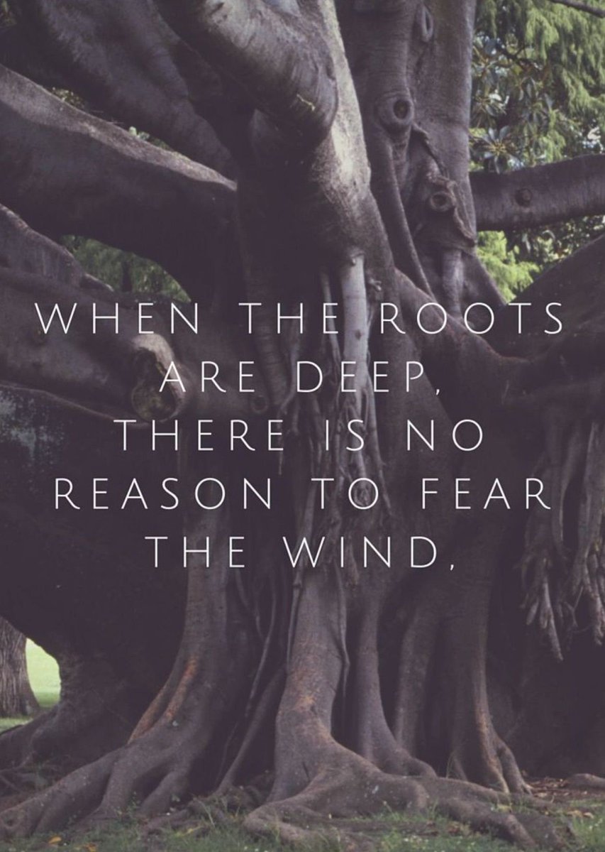 CocoSheaOrgani1's tweet photo. So true https://t.co/4aN8fP9zUh