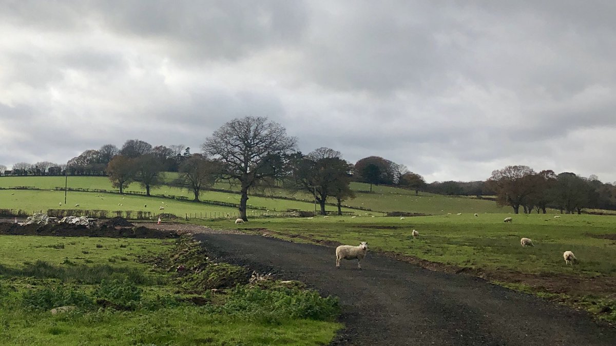 21stCenturyCat's tweet photo. Loving my move to Usk from Bristol, & it really is the town that has it all:
1. Windmill
2. Mandatory population of more sheep than people
3. Oh, and a tank school...
#tankschool #usk #welshcountryside #wales #sheep https://t.co/vAKpfji7Xi