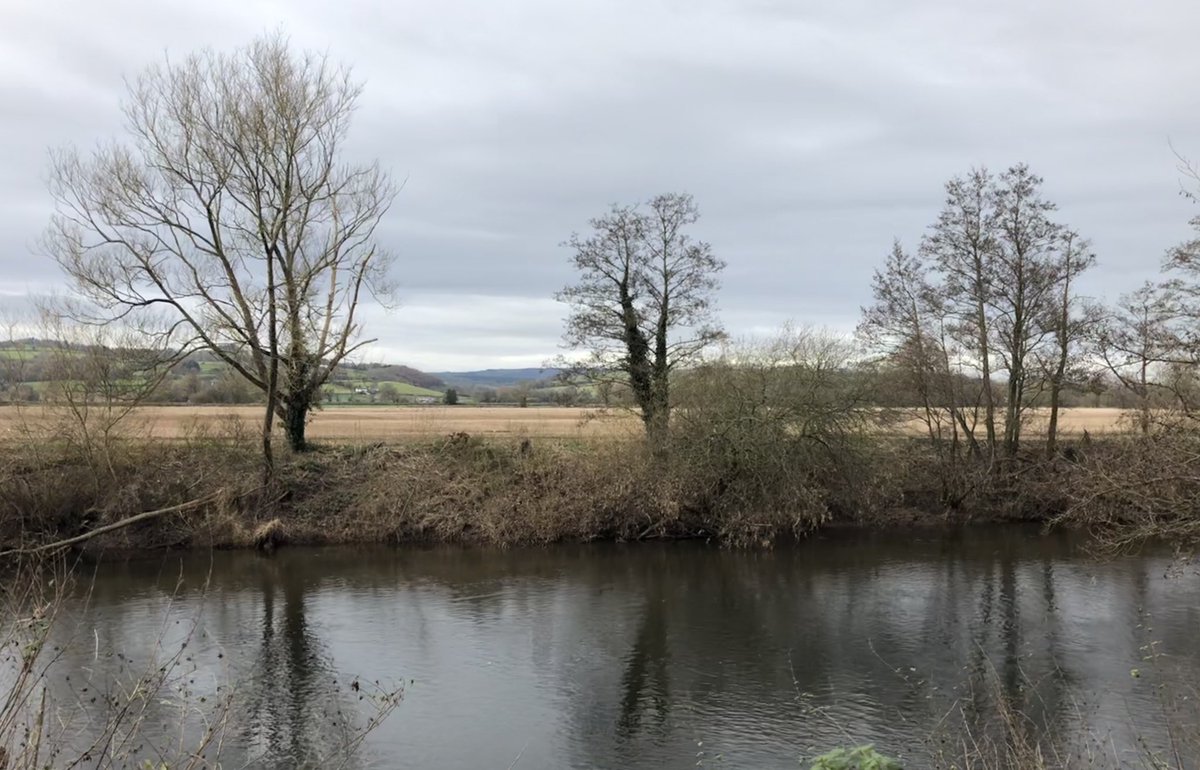 21stCenturyCat's tweet photo. Loving my move to Usk from Bristol, & it really is the town that has it all:
1. Windmill
2. Mandatory population of more sheep than people
3. Oh, and a tank school...
#tankschool #usk #welshcountryside #wales #sheep https://t.co/vAKpfji7Xi
