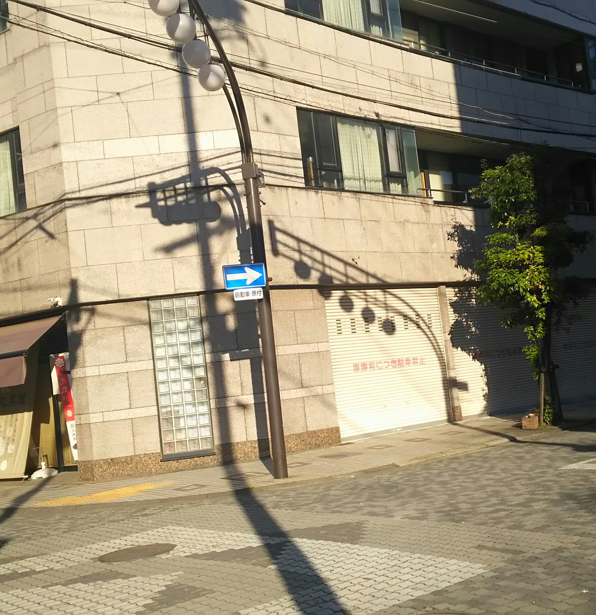 Thewitness これ絶対風景パズルありますよね 洗脳済み Thewitness これ絶対風景パズルありますよね 洗脳済み
