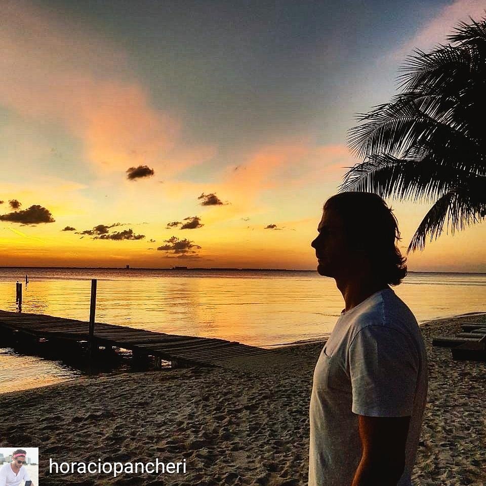 PancheriFans España tweet media