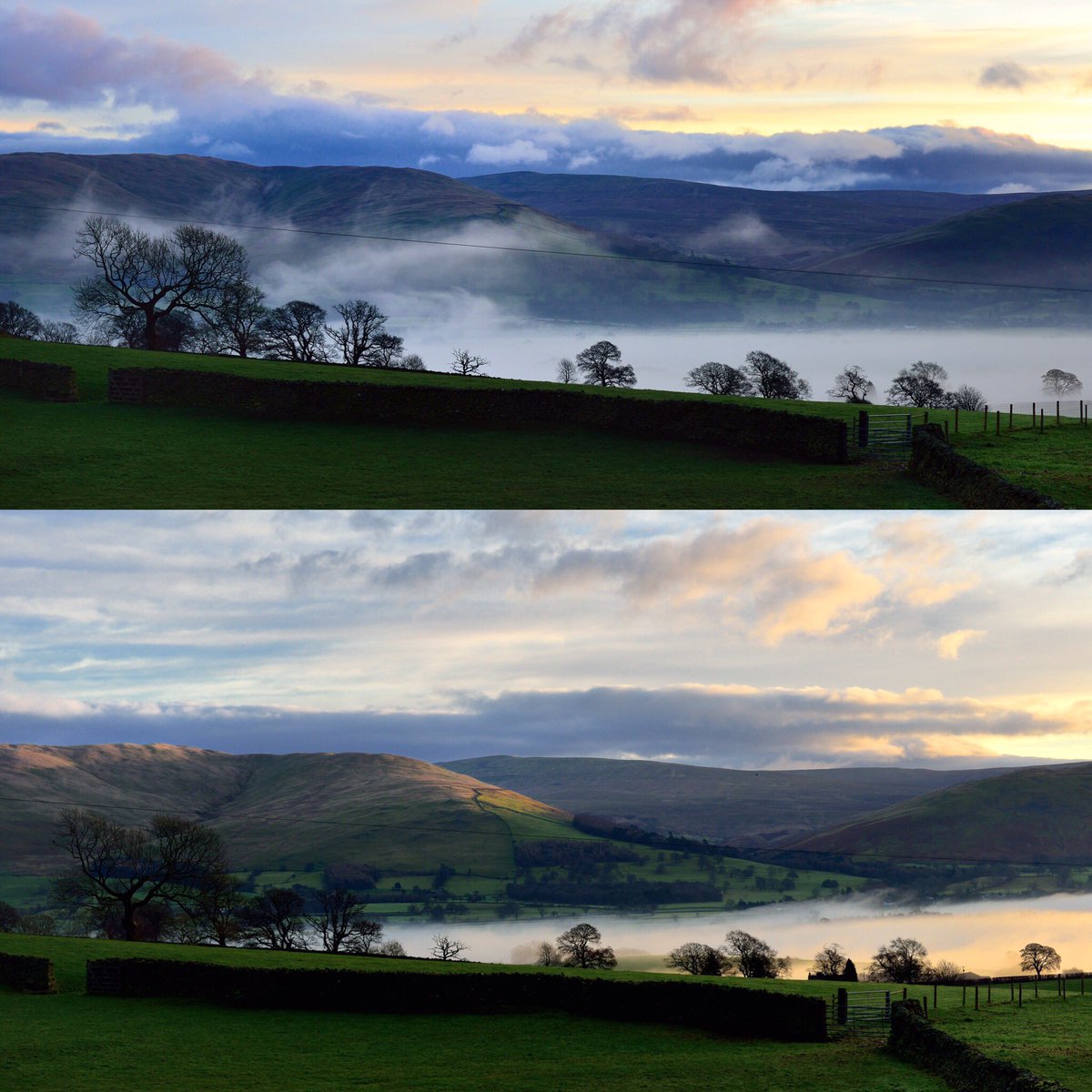 Gill Hoyle tweet media