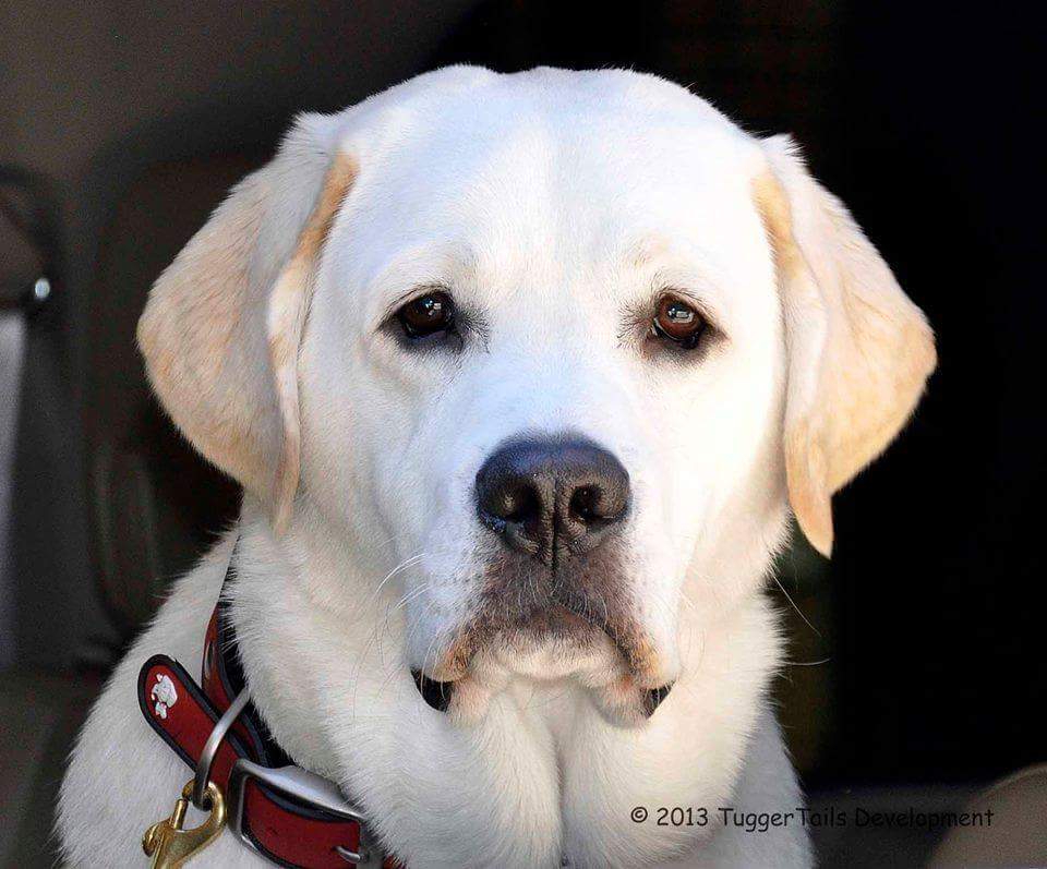 sundeep9160's tweet photo. #Cute_face
makes me happy 🐾 https://t.co/shP7RmYiHZ