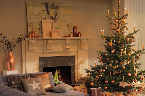 StBarnabasLinc's tweet photo. Go green and tree-cycle! On Saturday 6th &amp; Sunday 7th January, we can collect your Christmas tree &amp; recycle it for a small donation #treecycle18 https://t.co/eKTo7AbOQq https://t.co/2QlokFbVy2