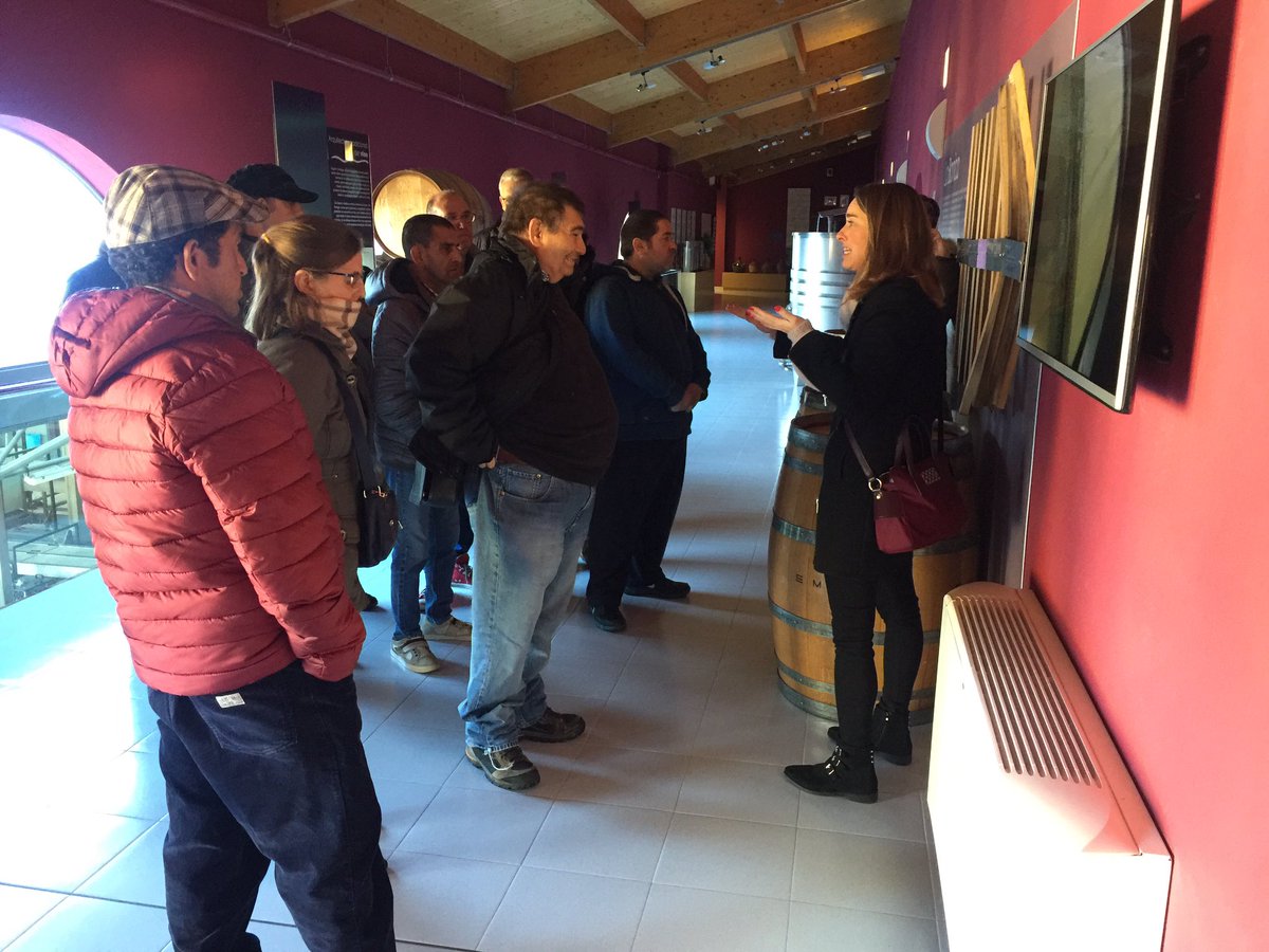 cermi_cyl's tweet image. Para celebrar el #DiaInternacionalPersonasconDiscapacidad @eminawines celebra con @cermi_cyl una visita a la bodega y una cata totalmente #accesibles