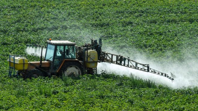 EU votes to renew the licence of "probably carcinogenic" chemical bit.ly/2Bz5YQf