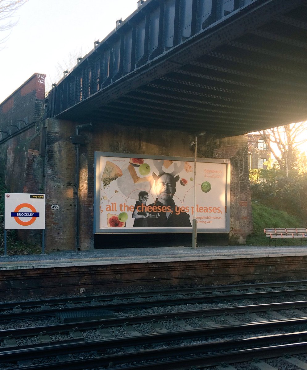 Black Dog Represents tweet media