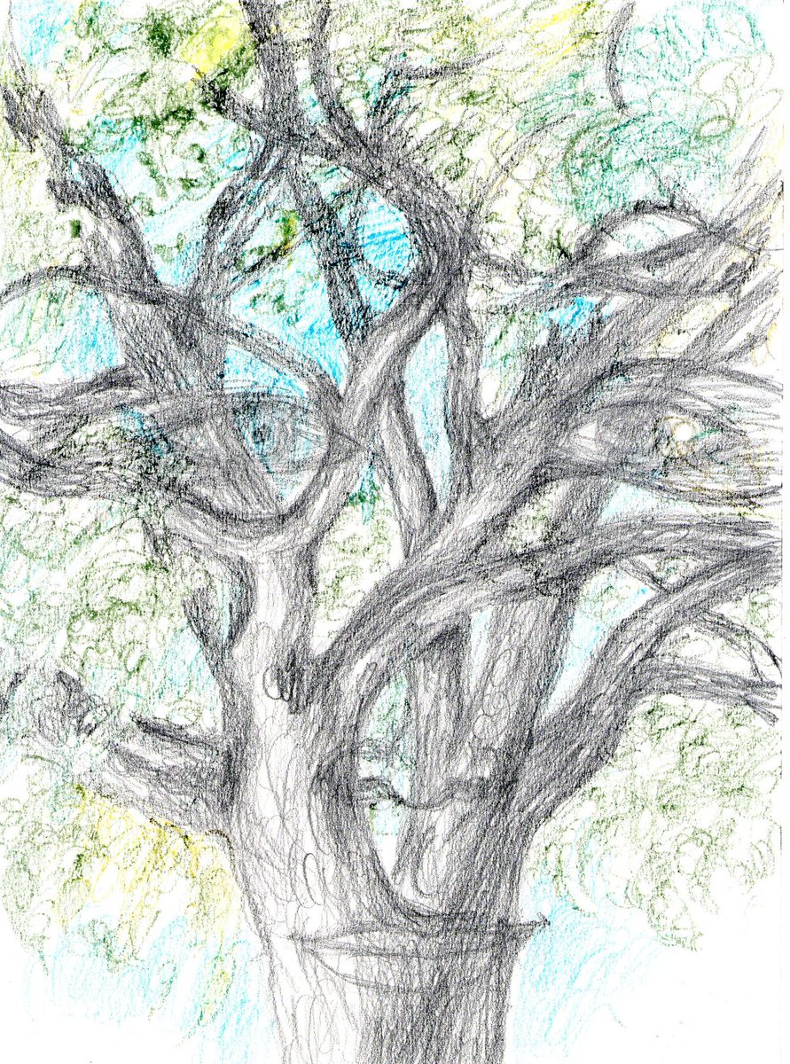 #Poesie #NuoviCantieriCulturaliIsolotto
#MappaturapoeticaIsolotto nellepieghedelcorpo.wordpress.com/2017/11/04/alb…