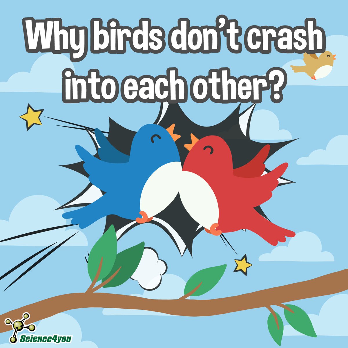 Science4you_UK's tweet photo. Why birds never crash into each others??🐦🐦😯 We have looked into it to find the answer!

Discover it on our Blog!😉👉 https://t.co/MVQnNYmSJC

#ScienceBlog #Birds #Science4you👩‍🔬👨‍🔬 https://t.co/kuvZGwX0hC
