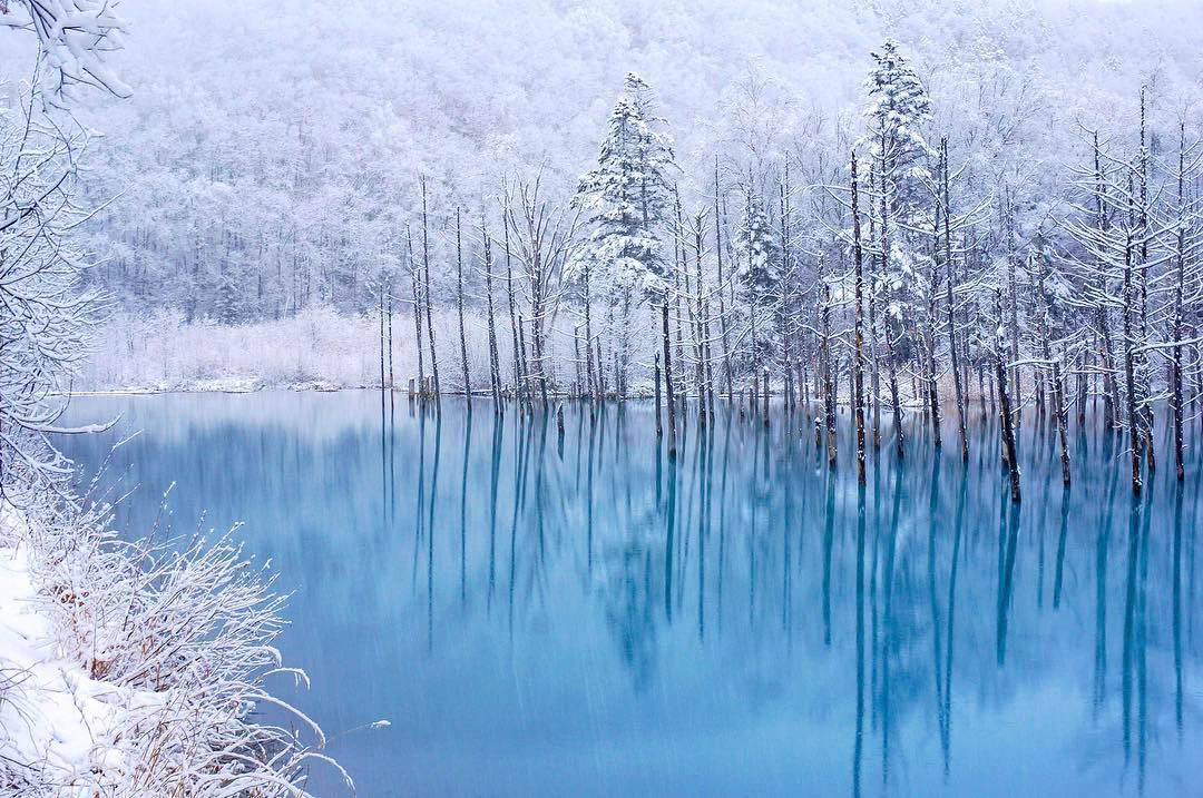日本に存在する景色とは到底思えない！北海道にある青い池が神秘的〜！