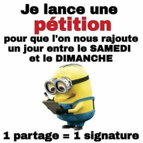 Marco Polo (@le_beau_marco) on Twitter photo 