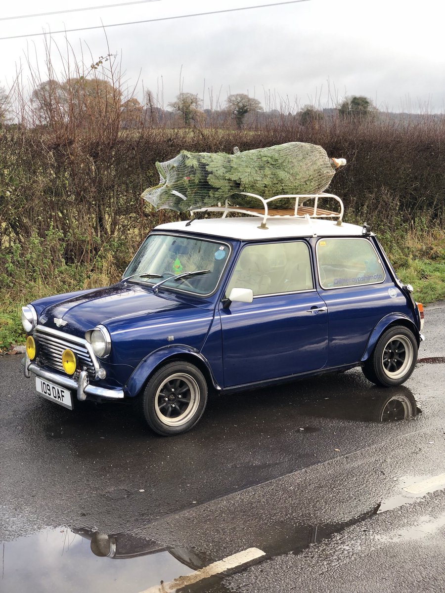 heroyoshimoto's tweet image. Hero has been to collect the Christmas tree