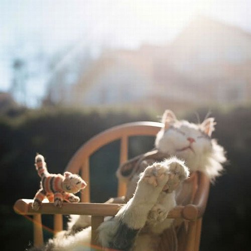 @ADTWve <a href="/Sergio3712ok/">S € R G I O™ FRIENDS</a> <a href="/WebOz_/">✿✈Pєкємια✈✿</a> <a href="/FrancoFA89/">Franco</a> <a href="/Savierlope/">Savier Lopez 🇻🇪</a> @MariaToroDiana @JuanSGE <a href="/danilogave/">DANILO Garcés 🇦🇷</a> <a href="/MartaAvendao/">Marta Avendaño 🍃🌸</a> <a href="/yonaikerco/">El KATIRE  Yonaiker</a> <a href="/ElderAcost/">ELDER AC✪STA 📚23ʸʳˢ⚽️</a> <a href="/Rubenve97/">Rubén Manrique 🇻🇪</a> @Ma77uT @adran7719 <a href="/Gachy__River/">Piel Morena🤍♥️🤍</a> <a href="/halconavicencio/">🌹❤️ELENA MIRANDA V.❤️🌹#E̲l̲e̲M̲i̲r̲a̲n̲d̲a̲</a> <a href="/como_angela/">💜💜Angelica💜💜</a> <a href="/MarceloMjrios/">🎰♠️ʍɑʀɔəɭʘ</a> @EzelI0II <a href="/Antonyangel10/">Antony Taylor</a> <a href="/Alberto95ve/">Alberto Campos 🇻🇪</a> ☃️❄️
 ┊ ┊　 
 ┊ 🎅 #DomigoDeRelax
💕 
┊<a href="/WebOz_/">✿✈Pєкємια✈✿</a>
🎄
┊@Ma77uT
┊@adran7719
┊<a href="/Gachy__River/">Piel Morena🤍♥️🤍</a>
┊<a href="/halconavicencio/">🌹❤️ELENA MIRANDA V.❤️🌹#E̲l̲e̲M̲i̲r̲a̲n̲d̲a̲</a>
┊<a href="/como_angela/">💜💜Angelica💜💜</a>
┊<a href="/MarceloMjrios/">🎰♠️ʍɑʀɔəɭʘ</a>
┊@EzelI0II
┊<a href="/Antonyangel10/">Antony Taylor</a>
┊<a href="/Alberto95ve/">Alberto Campos 🇻🇪</a>
❤#AmigosDelTWve👫