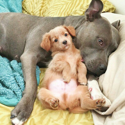 @ADTWve <a href="/Sergio3712ok/">S € R G I O™ FRIENDS</a> <a href="/WebOz_/">✿✈Pєкємια✈✿</a> <a href="/FrancoFA89/">Franco</a> <a href="/Savierlope/">Savier Lopez 🇻🇪</a> @MariaToroDiana <a href="/JuanSGE/">juan sebastian</a> <a href="/danilogave/">DANILO Garcés 🇦🇷</a> <a href="/MartaAvendao/">Marta Avendaño 🍃🌸</a> <a href="/yonaikerco/">El KATIRE  Yonaiker</a> <a href="/ElderAcost/">ELDER AC✪STA 📚23ʸʳˢ⚽️</a> <a href="/Rubenve97/">Rubén Manrique 🇻🇪</a> @Ma77uT @adran7719 <a href="/Gachy__River/">Piel Morena🤍♥️🤍</a> <a href="/halconavicencio/">🌹❤️ELENA MIRANDA V.❤️🌹#E̲l̲e̲M̲i̲r̲a̲n̲d̲a̲</a> <a href="/como_angela/">💜💜Angelica💜💜</a> <a href="/MarceloMjrios/">🎰♠️ʍɑʀɔəɭʘ</a> @EzelI0II <a href="/Antonyangel10/">Antony Taylor</a> <a href="/Alberto95ve/">Alberto Campos 🇻🇪</a> <a href="/SiozaGabo/">Gabo 2 🇪🇨</a> @118ROCIO26 <a href="/acostavlad32/">Vladimir Acosta</a> <a href="/kazumive/">Kazumi Nagano 🇯🇵</a> <a href="/ferm_16/">F♡e♡r♡n♡a♡n♡d♡a #MGWV</a> <a href="/LuzAngelica_22/">🌞Luz Angelica🌞</a> @DIOSA_IRLANDESA <a href="/martalaury/">🇧🇷Mara Confiando Sempre em Deus..!🇧🇷</a> <a href="/Tana_Pato/">🍃🌷ƬαƝα🌷🍃</a> ❄️☃️
 ┊ ┊　 
 ┊ 🎅#DomingoDeRelax
❄️
┊<a href="/SiozaGabo/">Gabo 2 🇪🇨</a>
🎄
.┊@118ROCIO26
.┊<a href="/acostavlad32/">Vladimir Acosta</a>
.┊<a href="/ramses96fa/">ℝamsés 𝔽abrega 🇵🇦</a>
.┊<a href="/kazumive/">Kazumi Nagano 🇯🇵</a>
.┊<a href="/ferm_16/">F♡e♡r♡n♡a♡n♡d♡a #MGWV</a>
.┊<a href="/LuzAngelica_22/">🌞Luz Angelica🌞</a>
.┊@DIOSA_IRLANDESA
.┊<a href="/martalaury/">🇧🇷Mara Confiando Sempre em Deus..!🇧🇷</a>
.┊<a href="/Tana_Pato/">🍃🌷ƬαƝα🌷🍃</a>
.❤#AmigosDelTWve👫