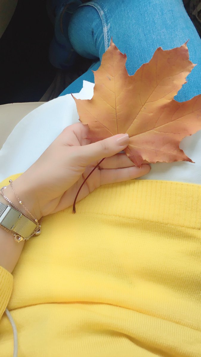 Belkide dökülen son yapraktı bu...