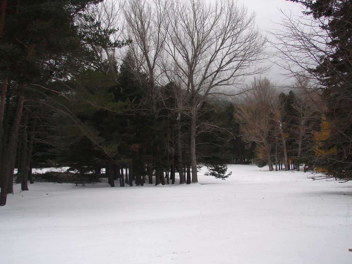 Yesterday #guadarrama #NationalPark <a href="/PNGuadarrama/">Sierra de Guadarrama</a>