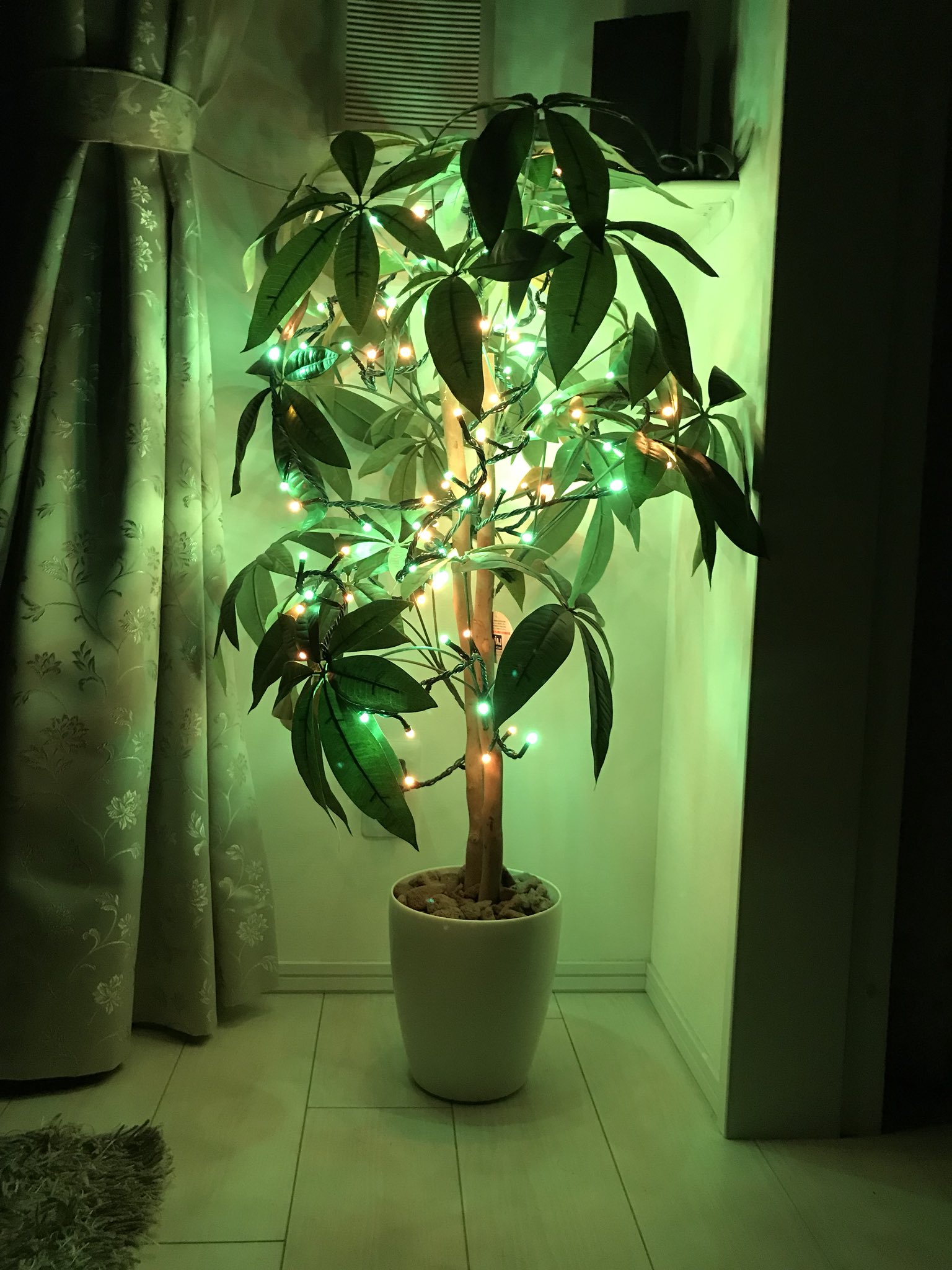 かいぬし Op Twitter ニトリでled電飾買ってきて自室の観葉植物 造花 をクリスマスバージョンにしたぞ 今夜はコイツを眺めて一杯やろう T Co Ousoqzk4k4 Twitter