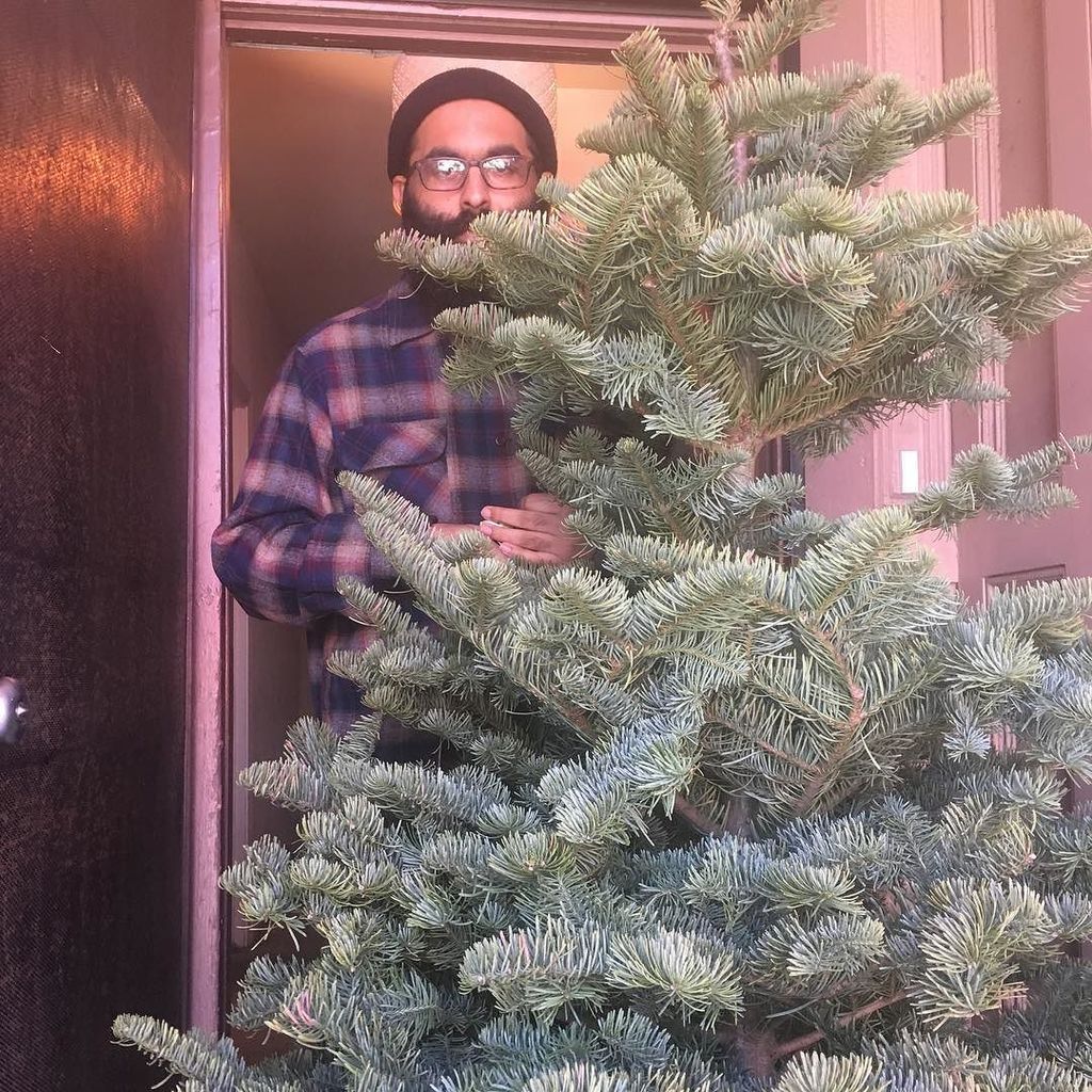 LadyLunching's tweet photo. getting ready with a new #christmastree https://t.co/EXYPbae5mf