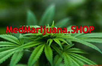 TLDName's tweet image. Just listed:
Med Marijuana .SHOP
TLDRent.com

#marijuana #medmarijuana #mmj #weed #pot #shop #dispensary #dispensaries #domainnames #domain #webshop #maryjane #eshop #MedicalCannabis #MedicalMarijuana #medical #medicine #herbs #natural