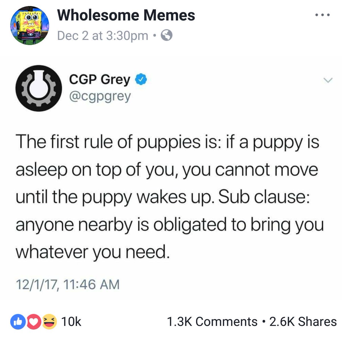 Jared J Tan On Twitter Youre On A Facebook Meme Page Grey