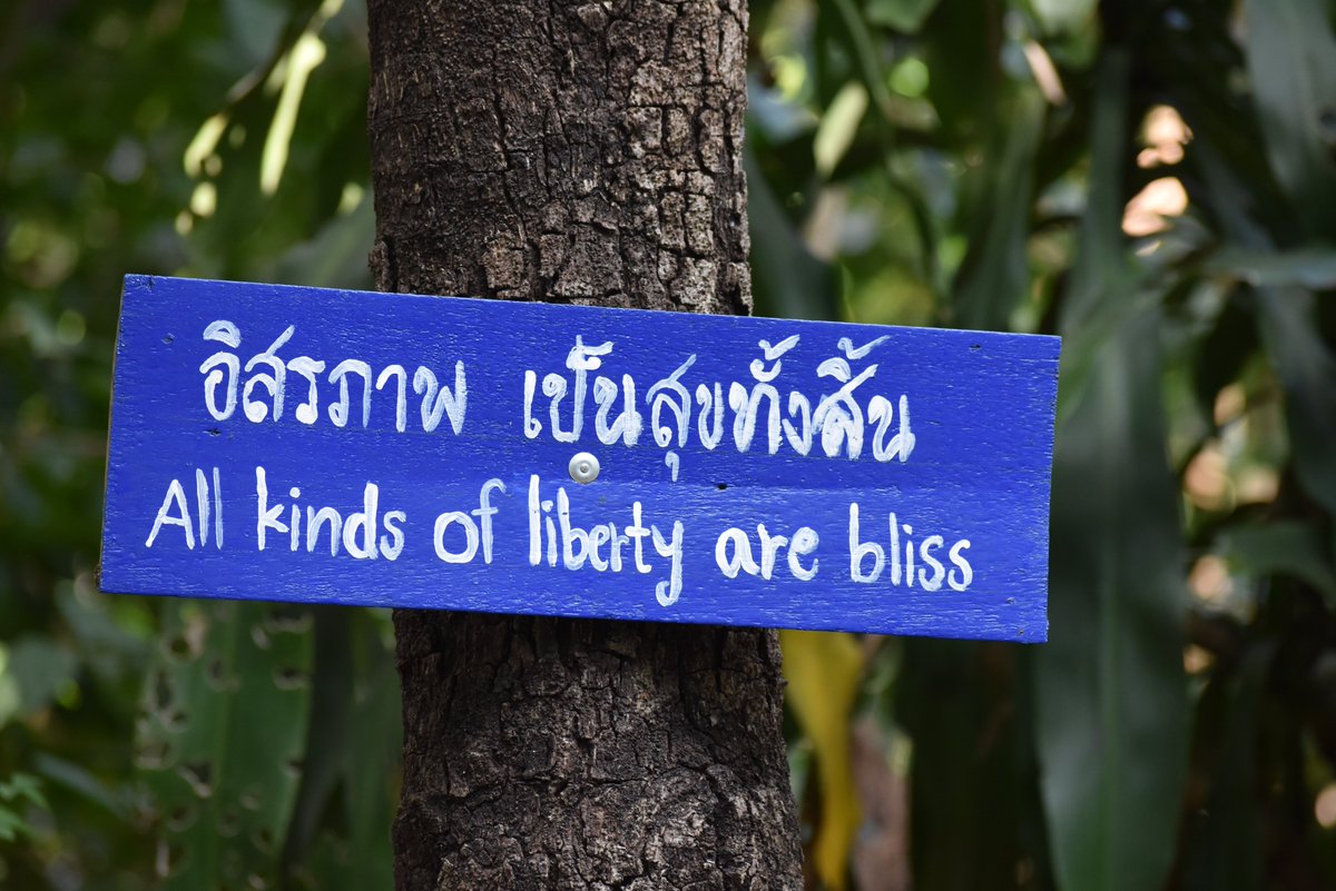 rscnx's tweet photo. Worth remembering......
#thailand #chiangmai #watumong https://t.co/6FFyPdApzY
