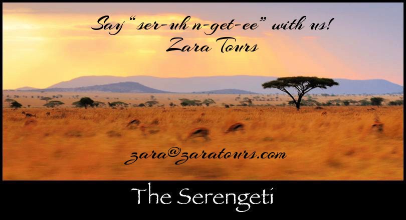 MaconDunnagan's tweet image. For #sundaymorning #sundaymotivation Thank you @ZaraTours for #websitepricing for #safari and #kilimanjaro Super #LinkedIn article  @ZaraTours Continues Efforts Towards #EnvironmentallyConscious Practices in #Tanzania Read : linkedin.com/pulse/zara-tou… … …