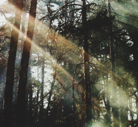 For both south and west camp we have tickets for those consider themselves a minority in their line of work! Reach out if you need even more help to get to camp! railscamp.us