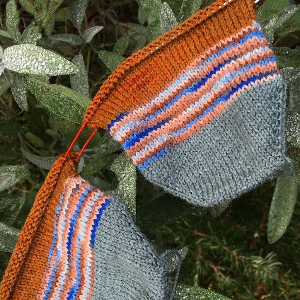 probablyjane's tweet photo. Braving the drizzle for today's #scrapvent2017 photo taking the chocolate covered plate of yesterday to pure milk chocolate today. #handknitsocks #makesocksnotwar #sockknittersofinstagram #sockknitters https://t.co/vDoHdG93AC https://t.co/0cn6CE8MMI