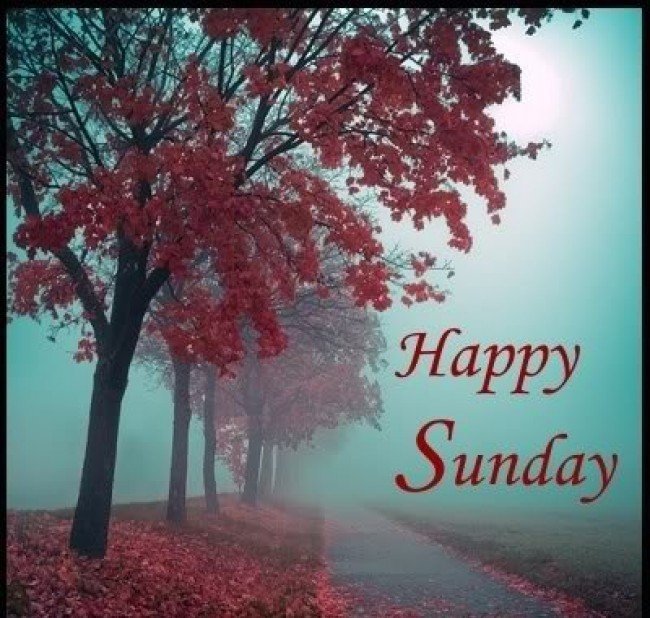 intertechmedia's tweet photo. How are you spending the first weekend of December?
Happy Sunday! #firstweekendindecember #sundayfunday #relax https://t.co/fHuP6Ey49n